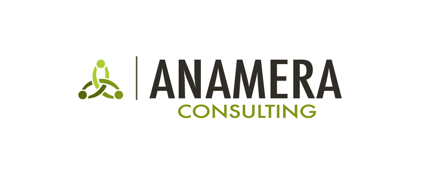 Anamera Consulting